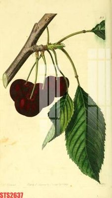 Tải file gốc Tranh sơn dầu phương tây tổng hợp STS2637 (in tráng gương) 5DFile gốc Tranh sơn dầu phương tây tổng hợp STS2637 (in ấn) phiên bản premium