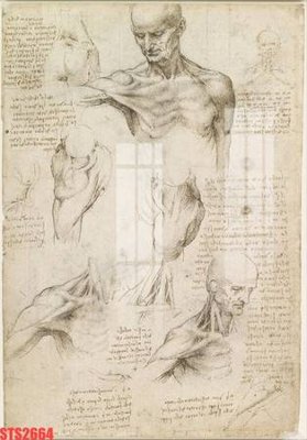 File ảnh Tranh sơn dầu phương tây tổng hợp STS2664 (gốc) in backdrop sự kiện