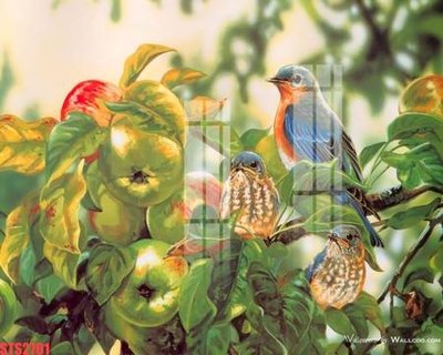 Hình ảnh gốc Tranh sơn dầu phương tây tổng hợp STS2701 (để in khổ lớn)