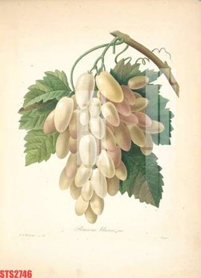 File PSD Tranh sơn dầu phương tây tổng hợp STS2746 (bản gốc) đã tách nền