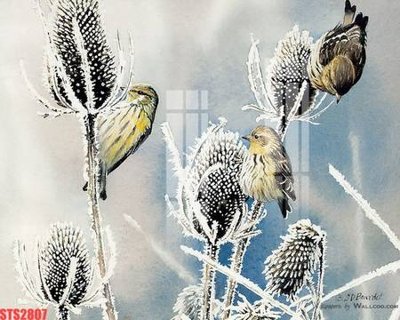 File gốc Tranh sơn dầu phương tây tổng hợp STS2807 cho in ấn và thiết kế