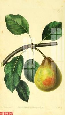 File gốc Tranh sơn dầu phương tây tổng hợp STS2837 (PNG) chất lượng cao