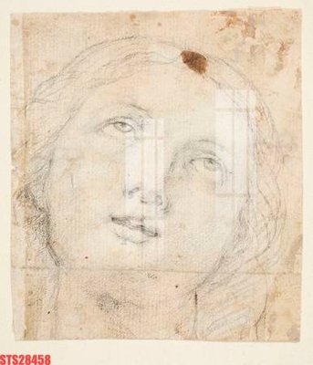 File in lụa Tranh sơn dầu phương tây tổng hợp STS28458 (hoa văn) Tranh sơn dầu phương tây tổng hợp STS28458