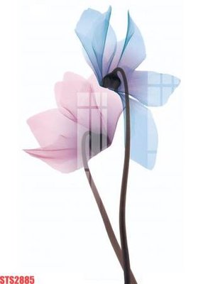 Tải file Tranh sơn dầu phương tây tổng hợp STS2885 (gốc) làm tranh treo tường