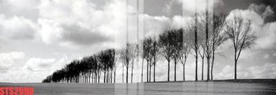 File in mica Tranh sơn dầu phương tây tổng hợp STS2990 (bản gốc) siêu trong