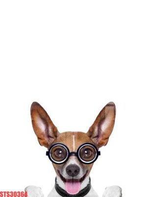 File gốc Tranh sơn dầu phương tây tổng hợp STS30364 (in lụa) hoa văn cổ điển