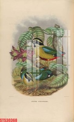 Tải file gốc Tranh sơn dầu phương tây tổng hợp STS30368 (in khổ lớn) không vỡ