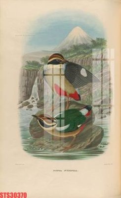 Hình ảnh file gốc in lụa Tranh sơn dầu phương tây tổng hợp STS30370