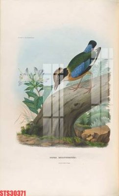 Mua file gốc Tranh sơn dầu phương tây tổng hợp STS30371 (in ấn) tại Filetranh.com