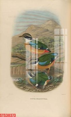 Tải file Tranh sơn dầu phương tây tổng hợp STS30373 (PSD) cho in tranh kính