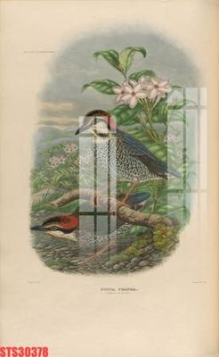 File ảnh Tranh sơn dầu phương tây tổng hợp STS30378 (gốc) trang trí khách sạn