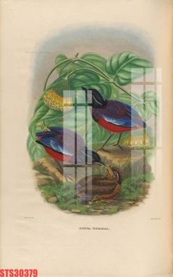 Chi tiết file tranh tráng gương Tranh sơn dầu phương tây tổng hợp STS30379 (ảnh gốc)