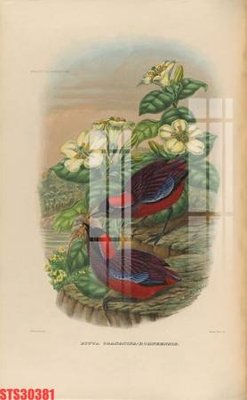 Tải file Tranh sơn dầu phương tây tổng hợp STS30381 (gốc) in tranh tráng gương