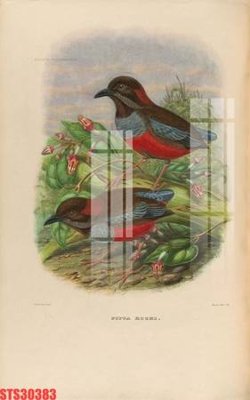 File tranh gốc Tranh sơn dầu phương tây tổng hợp STS30383 (bản quyền) Filetranh.com