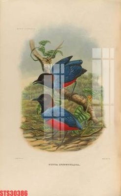 File tranh quảng cáo Tranh sơn dầu phương tây tổng hợp STS30386 (download file gốc)