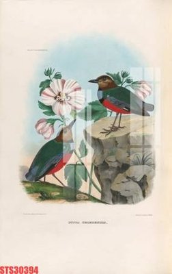 File gốc Tranh sơn dầu phương tây tổng hợp STS30394 (in tráng gương) sang trọng