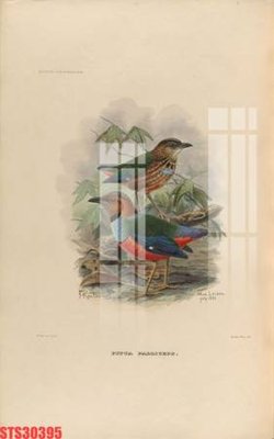 File tranh Tranh sơn dầu phương tây tổng hợp STS30395 (ảnh gốc) cho in ấn kỹ thuật số