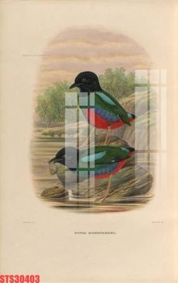 File gốc Tranh sơn dầu phương tây tổng hợp STS30403 (cho in ấn) từ kho Filetranh