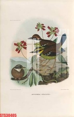 Mua file tranh gốc Tranh sơn dầu phương tây tổng hợp STS30405 tại Filetranh.com