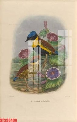 Download file gốc Tranh sơn dầu phương tây tổng hợp STS30408 (in mica) trong suốt