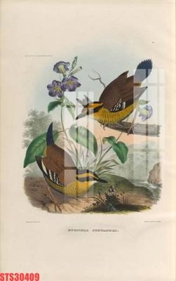 Download file gốc Tranh sơn dầu phương tây tổng hợp STS30409 (in lụa) tranh 3D