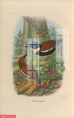 File tranh Tranh sơn dầu phương tây tổng hợp STS30410 (gốc) in vải canvas