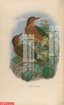 File tranh Tranh sơn dầu phương tây tổng hợp STS30416 (gốc) chủ đề thiên nhiên