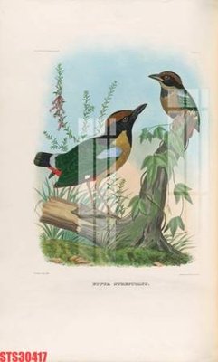 File in mica Tranh sơn dầu phương tây tổng hợp STS30417 (bản gốc) làm vách ngăn