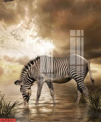 File gốc Tranh sơn dầu phương tây tổng hợp STS31213 (bản quyền) cho in ấn