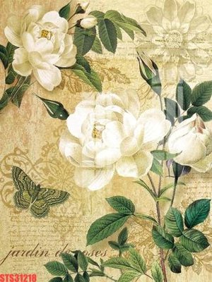 Tải file Tranh sơn dầu phương tây tổng hợp STS31218 (ảnh gốc) độ phân giải 300dpi