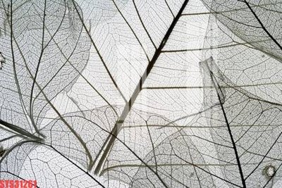 Download file gốc Tranh sơn dầu phương tây tổng hợp STS31261 (in mica) logo