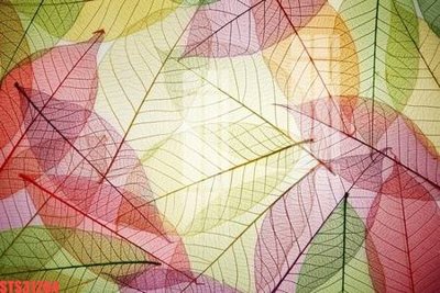 Download file gốc Tranh sơn dầu phương tây tổng hợp STS31264 (in mica) trang trí