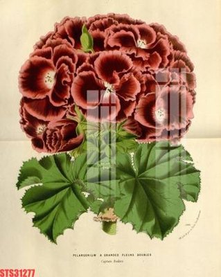 File gốc Tranh sơn dầu phương tây tổng hợp STS31277 (dành cho quảng cáo)