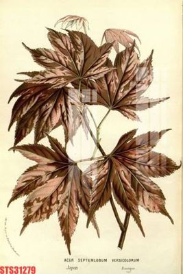 Ảnh gốc file in lụa Tranh sơn dầu phương tây tổng hợp STS31279 chi tiết