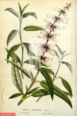 Download file Tranh sơn dầu phương tây tổng hợp STS31285 (gốc) in mica cao cấp