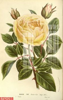 File in trần Tranh sơn dầu phương tây tổng hợp STS31288 (bản gốc) trời sao