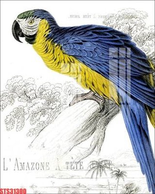 File tranh Tranh sơn dầu phương tây tổng hợp STS31300 (gốc) chủ đề tĩnh vật