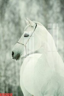 File gốc Tranh sơn dầu phương tây tổng hợp STS31312 (vector) cho in ấn