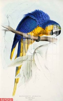 File in trần Tranh sơn dầu phương tây tổng hợp STS31315 (file gốc) hoa văn 3D