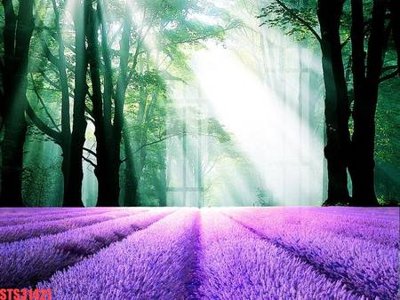 Tải về hình ảnh gốc Tranh sơn dầu phương tây tổng hợp STS31421 sắc nét