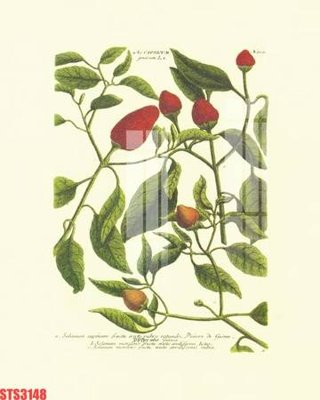 File tranh Tranh sơn dầu phương tây tổng hợp STS3148 (gốc) chủ đề tĩnh vật