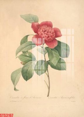 File gốc Tranh sơn dầu phương tây tổng hợp STS3167 (in lụa) trang trí tường