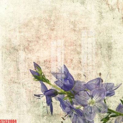 File gốc in ấn Tranh sơn dầu phương tây tổng hợp STS31884 (sẵn sàng tải về)