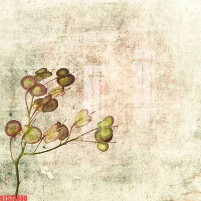 Tải file Tranh sơn dầu phương tây tổng hợp STS31886 (ảnh gốc) in gạch men