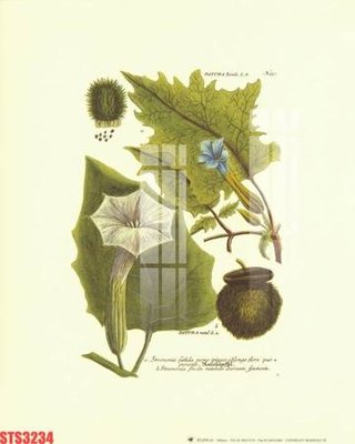 Download file gốc Tranh sơn dầu phương tây tổng hợp STS3234 (in lụa) hoa lá