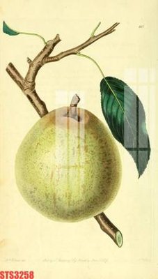 File in trần Tranh sơn dầu phương tây tổng hợp STS3258 (bản gốc) bầu trời