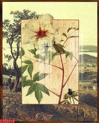 File gốc Tranh sơn dầu phương tây tổng hợp STS3314 (vector) cho in ấn