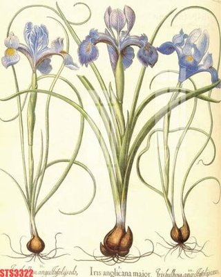 File PSD Tranh sơn dầu phương tây tổng hợp STS3322 (gốc) nhiều lớp (multi-layer)