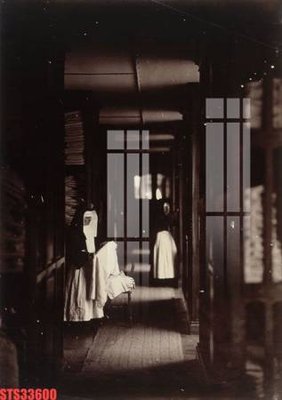 File in trần Tranh sơn dầu phương tây tổng hợp STS33600 (file gốc) hoa văn 3D