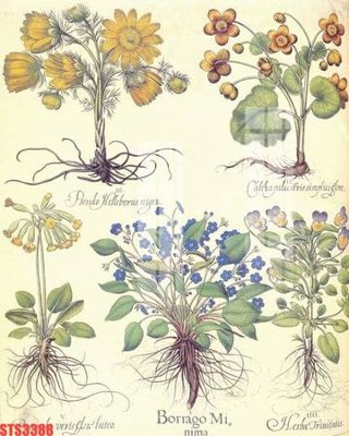 File in trần Tranh sơn dầu phương tây tổng hợp STS3388 (file gốc) xuyên sáng